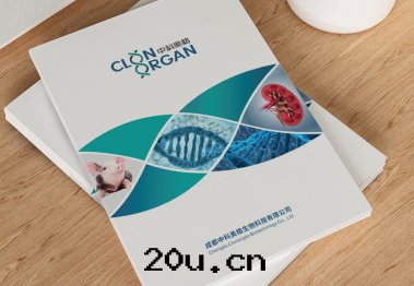 策劃(huà)設計(jì)