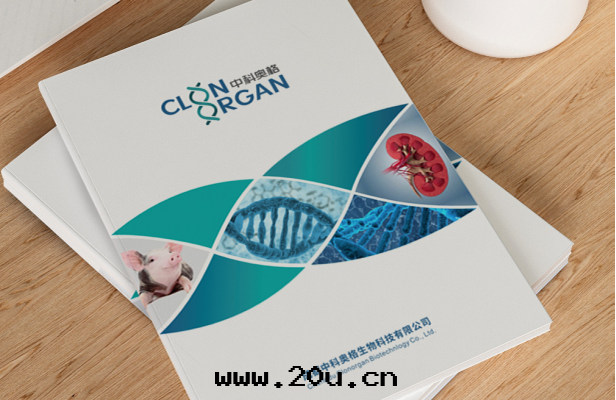 画(huà)册(cè)設計(jì)